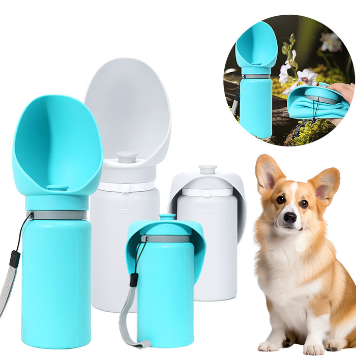 Pet Accessories