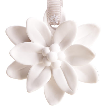 Mounted Gypsum Fragrance